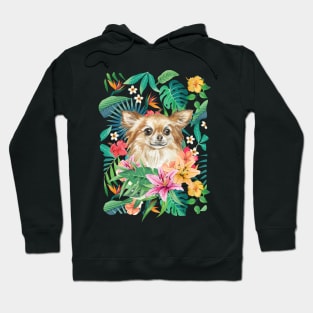 Tropical Long Haired Red Chihuahua 2 Hoodie